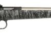 KSA CRICKETT BLK SYN 22LR WHITE WEBBED SS