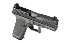 LWD DUSK 19 RMR 9MM 15RD GRAY/BLACK - Image 3