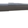 LSI M1500 25CREED 24 BLK HOGUE