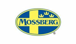 MOSSBERG PATRIOT 243WIN BL/SS 22" TB  #