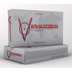 NOS AMMO 243WIN 55GR VGN FBSP 20/10