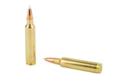 NOSLER 30NOS 180GR AB 20/200 - Image 4