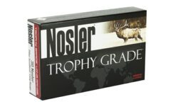 NOSLER 30NOS 210GR ABLR 20/200 - Image 2