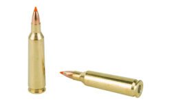 NOSLER 22-250 55GR BT 20/200 - Image 4
