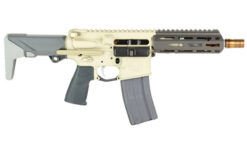 Q SGR WSL SBR 300BK 7" 30RD FDE - Image 2