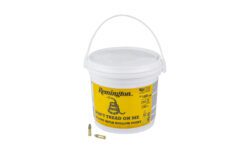 REM GOLDEN BULLET 22LR HV 36GR HP