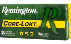 REM 3030WIN 150GR SP CL 20/200