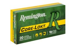 REM 308WIN 150GR PSP CL 20/200 - Image 2