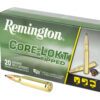REM 308 WIN 180GR CLOK TIPPED 20/200