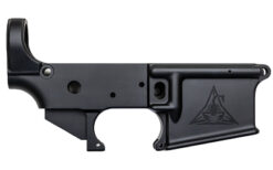 RISE STRIPPED AR 15 LOWER BLK