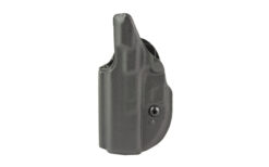 SL SPECIES SW EQ/SHIELD EZ STX BK RH - Image 2