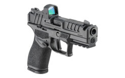 SPGFLD ECHELON 4.0C COMP 9MM 15RD GP - Image 4