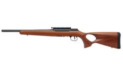 SAV A22 TIMBER 22LR 16.5" TB 10RD WD