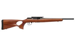 SAV A22 TIMBER 22LR 16.5" TB 10RD WD - Image 2