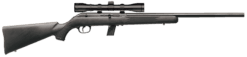 SAVAGE ARMS 64 SEMI-AUTO 22LR BL/SYN PKG #