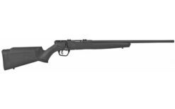 SAV B17 F 17HMR 21" 10RD BLK - Image 2