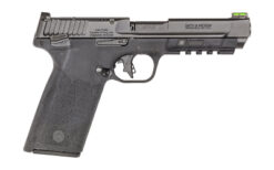 S&W M&P 22WMR 4.35" OR MS 10RD BLK - Image 2
