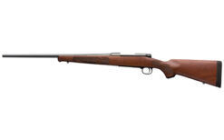 WIN M70 FTHWT 243WIN 22" BLK WLNT