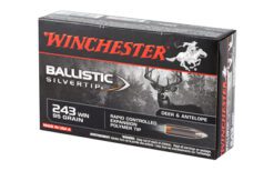 WIN BLSTC TIP 243WIN 95GR 20/200 - Image 3