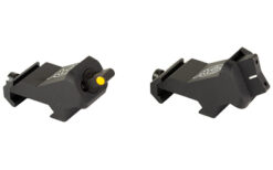 XS XTI2 DXS STANDARD DOT ORN