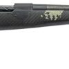 FIERCE FIREARMS CT ROGUE 2 TI 22CM BLK/F 16" #