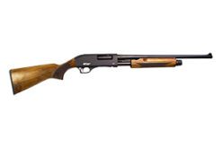GFORCE ARMS GF3P 20/20 BLK/WD 4+1