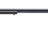 HERITAGE MANUFACTURING RR 22LR BLUE 16" 6RD AS