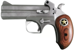 BOND ARMS RUSTC RANGR 45/410 4.2 SS